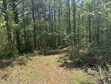 Land Luxury in Guntersville! Discover an exceptional opportunity - photo 29