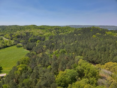Land Luxury in Guntersville! Discover an exceptional opportunity - photo 30