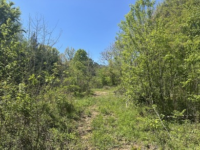 Land Luxury in Guntersville! Discover an exceptional opportunity - photo 31
