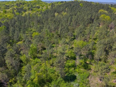 Land Luxury in Guntersville! Discover an exceptional opportunity - photo 34