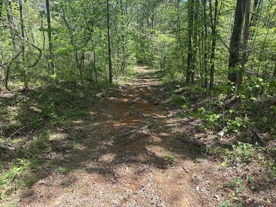 Land Luxury in Guntersville! Discover an exceptional opportunity - photo 35