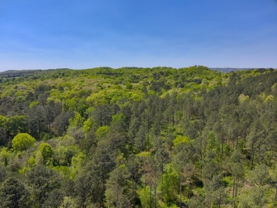 Land Luxury in Guntersville! Discover an exceptional opportunity - photo 36