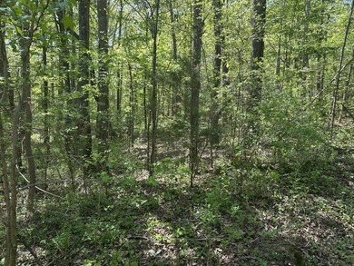 Land Luxury in Guntersville! Discover an exceptional opportunity - photo 37