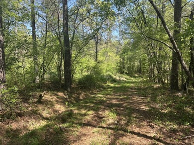 Land Luxury in Guntersville! Discover an exceptional opportunity - photo 38