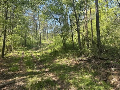 Land Luxury in Guntersville! Discover an exceptional opportunity - photo 40