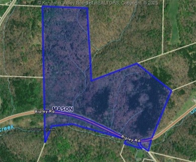 Lake Acreage Sale Pending in Leon, West Virginia