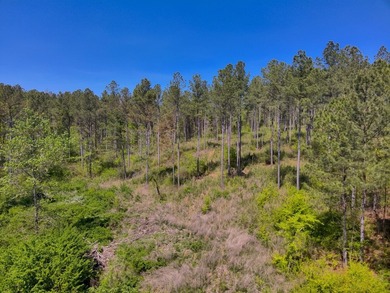 Land Luxury in Guntersville! Discover an exceptional opportunity - photo 41