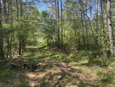 Land Luxury in Guntersville! Discover an exceptional opportunity - photo 42