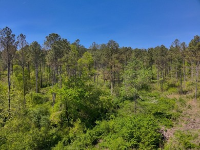 Land Luxury in Guntersville! Discover an exceptional opportunity - photo 43