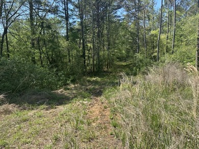 Land Luxury in Guntersville! Discover an exceptional opportunity - photo 44