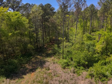 Land Luxury in Guntersville! Discover an exceptional opportunity - photo 45