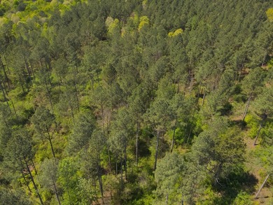 Land Luxury in Guntersville! Discover an exceptional opportunity - photo 46