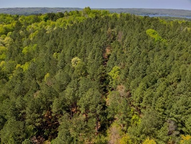 Land Luxury in Guntersville! Discover an exceptional opportunity - photo 48