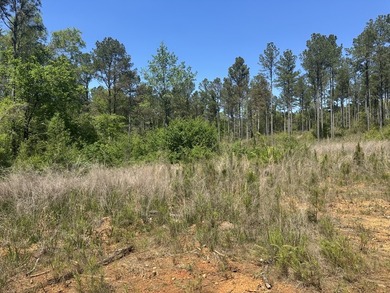 Land Luxury in Guntersville! Discover an exceptional opportunity - photo 49