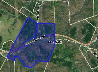 Lake Acreage Sale Pending in Leon, West Virginia