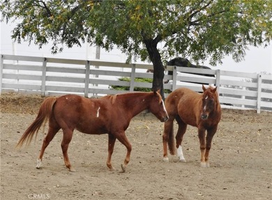 Welcome to 8900 Wight Way, a rare equestrian retreat designed - photo 17