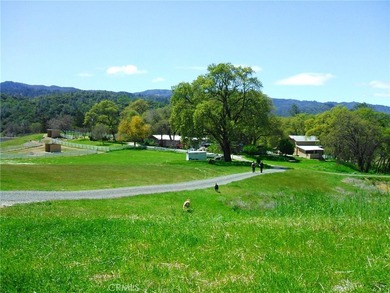 Welcome to 8900 Wight Way, a rare equestrian retreat designed - photo 18