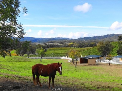 Welcome to 8900 Wight Way, a rare equestrian retreat designed - photo 22