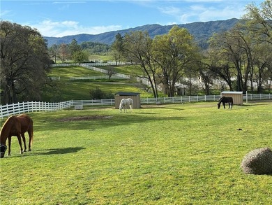 Welcome to 8900 Wight Way, a rare equestrian retreat designed - photo 25
