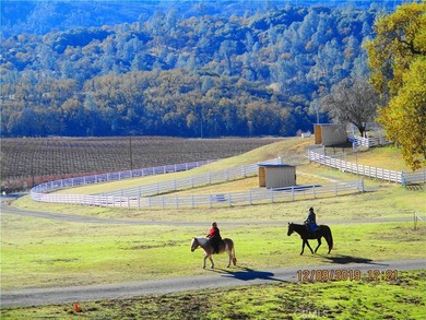 Welcome to 8900 Wight Way, a rare equestrian retreat designed - photo 26