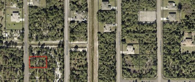 Secluded quiet and ready to put your dream home on a piece of - photo 1