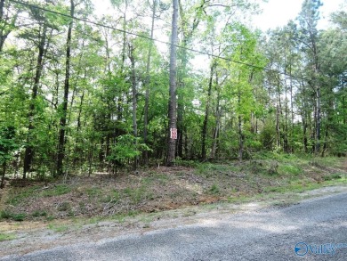 Lake Lot For Sale in Jasper, Alabama