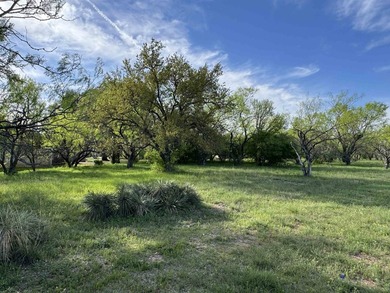 Nice golf course lot on #1 Slickrock golf course on .37 acres in - photo 8