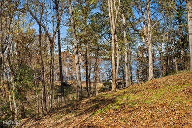 This cozy 1-bed, 1-bath updated camp house offers a serene - photo 23