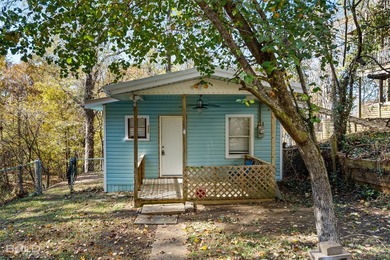 This cozy 1-bed, 1-bath updated camp house offers a serene - photo 29