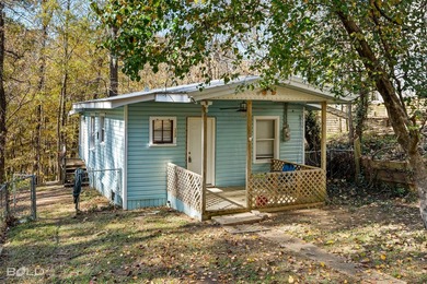 This cozy 1-bed, 1-bath updated camp house offers a serene - photo 33