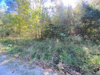 Lake Subdivision Lot For Sale - Lake Lot For Sale in Falls Of Rough, Kentucky