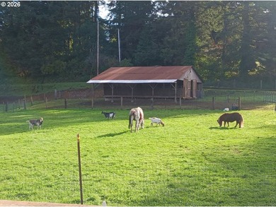 4.18 beautiful and useable acres outside of city limits with 2 - photo 4