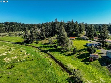 4.18 beautiful and useable acres outside of city limits with 2 - photo 7
