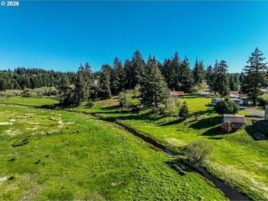 4.18 beautiful and useable acres outside of city limits with 2 - photo 8