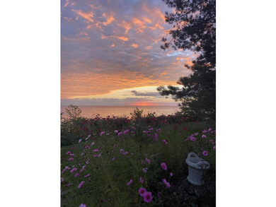 Experience the beauty of Lake Michigan living in this - photo 11