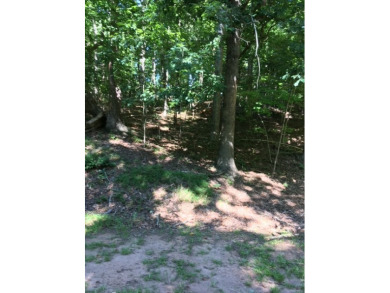 (private lake, pond, creek) Lot For Sale in Westminster South Carolina