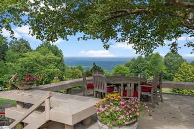 A truly one-of-one legacy estate atop Paris Mountain! Set on - photo 39