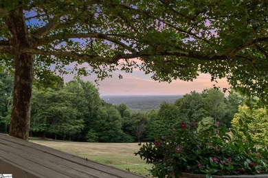 A truly one-of-one legacy estate atop Paris Mountain! Set on - photo 45