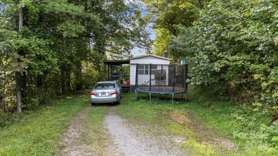 French Broad River - Madison County Acreage For Sale in Marshall North Carolina