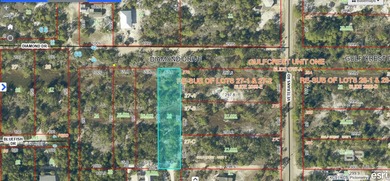 MOTIVATED SELLER 65.8' x 297' parcel of land in the Gulf - photo 4