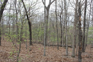 Lake of the Ozarks Lot For Sale in Sunrise Beach Missouri