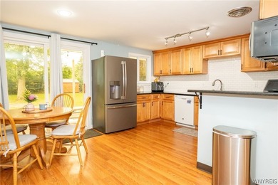Welcome to 5633 Southside in Boston, NY-where the lawn is - photo 20