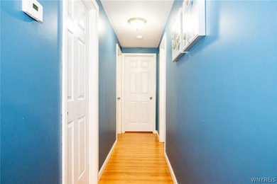 Welcome to 5633 Southside in Boston, NY-where the lawn is - photo 22