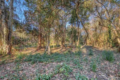 Prime development opportunity on 0.64 acres featuring four - photo 6