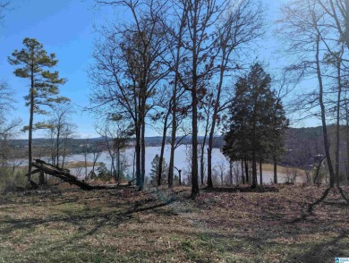 Lake Lot For Sale in Lincoln, Alabama