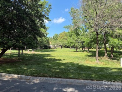 Beautiful level homesite in the Millingport neighborhood of Old - photo 1