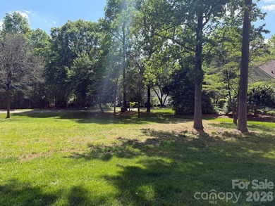Beautiful level homesite in the Millingport neighborhood of Old - photo 5
