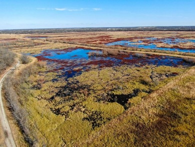 This riverfront gem is a flat-out fantastic waterfowl hunting - photo 12