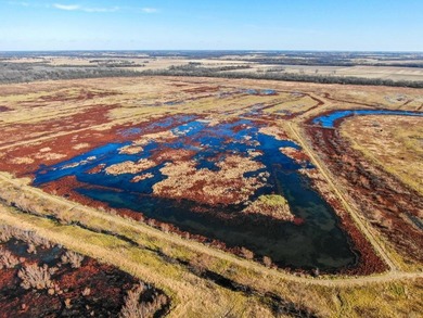 This riverfront gem is a flat-out fantastic waterfowl hunting - photo 13
