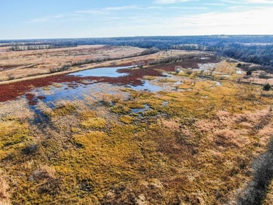 This riverfront gem is a flat-out fantastic waterfowl hunting - photo 15